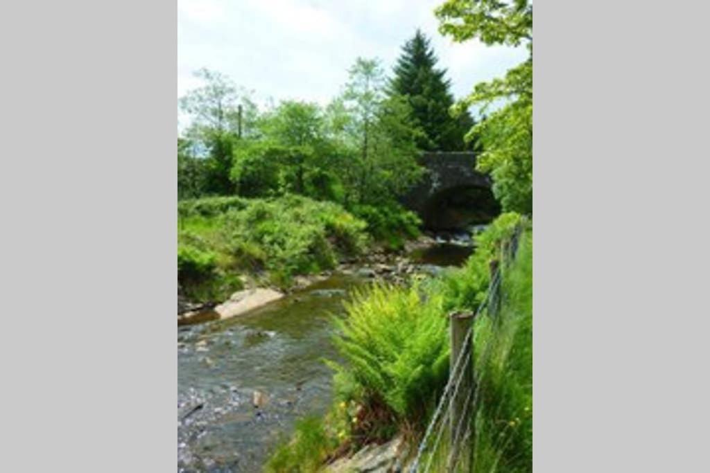 Moelwyn Cottage Blaenau Ffestiniog Dış mekan fotoğraf